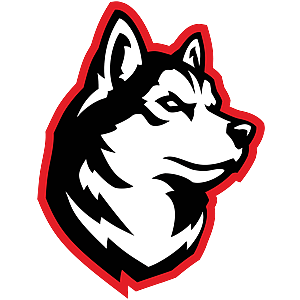 Northeastern logo